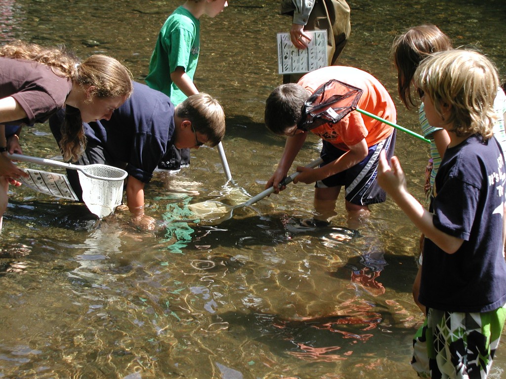 Photo Gallery | Drift Creek Camp